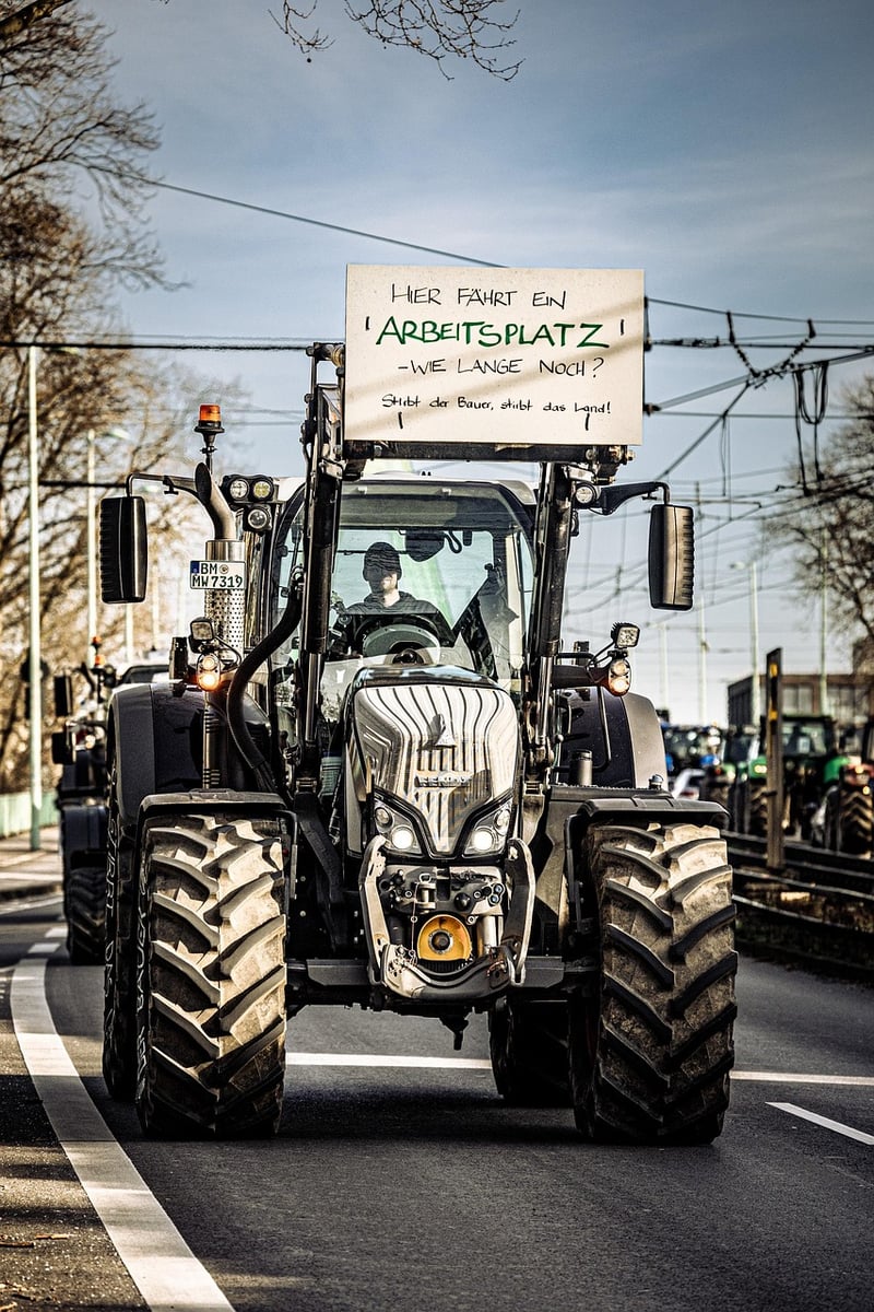 Activism Demonstration